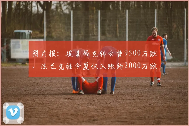 图片报：埃基蒂克转会费9500万欧，法兰克福今夏仅入账约2000万欧